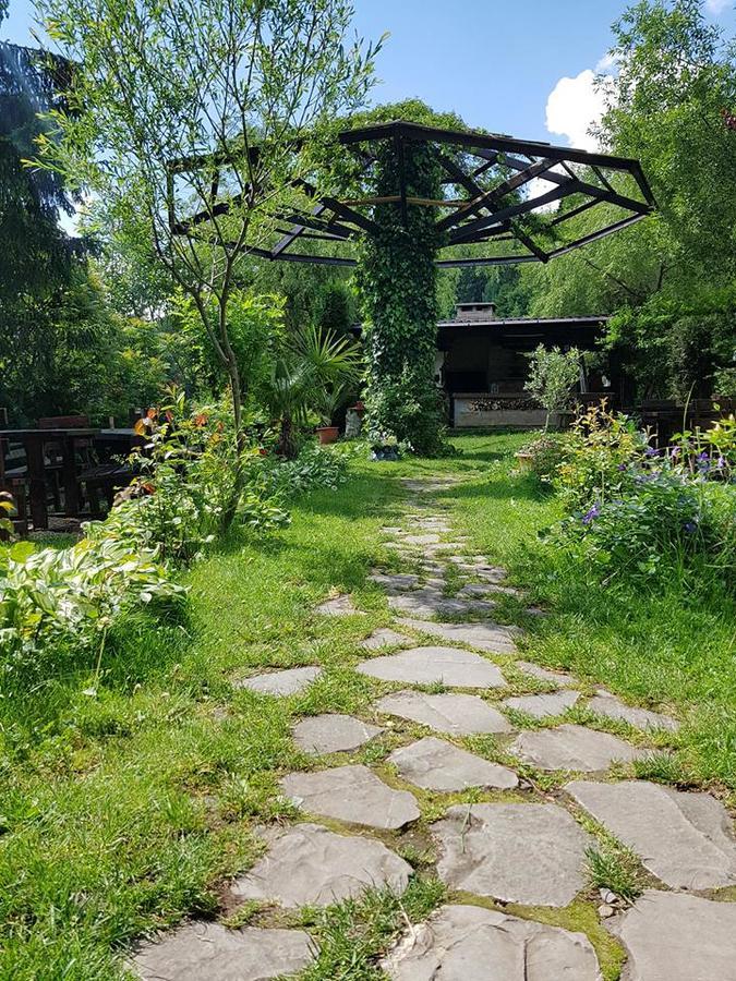 Pensiunea Liziera Buşteni Exterior foto